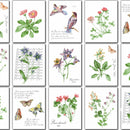 Kew Flower Butterfly Bird Botanical PVC Tablecloth 20 Metres Roll