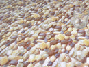 Dungeness  Beach Pebbles and Stones  Vinyl Oilcloth Tablecloth