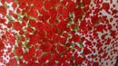 Red Rose Border Vinyl  Tablecloth