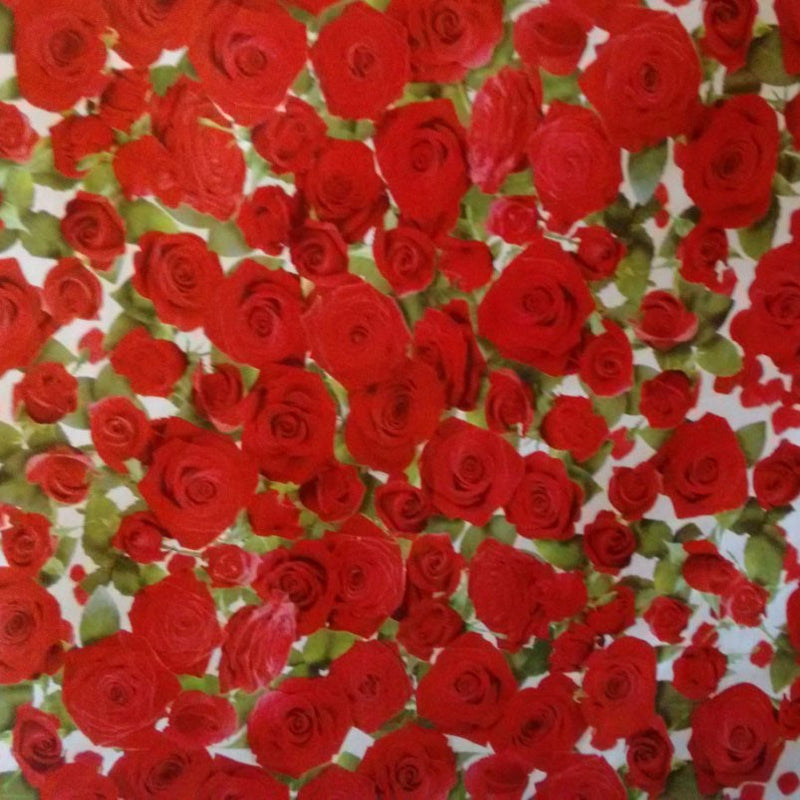 Red Rose Border Vinyl  Tablecloth