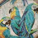 Parrots Vinyl Oilcloth Tablecloth